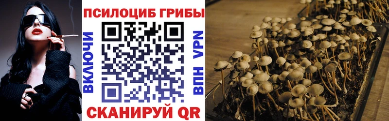 Галлюциногенные грибы Magic Shrooms  хочу наркоту  shop как зайти  Подпорожье 